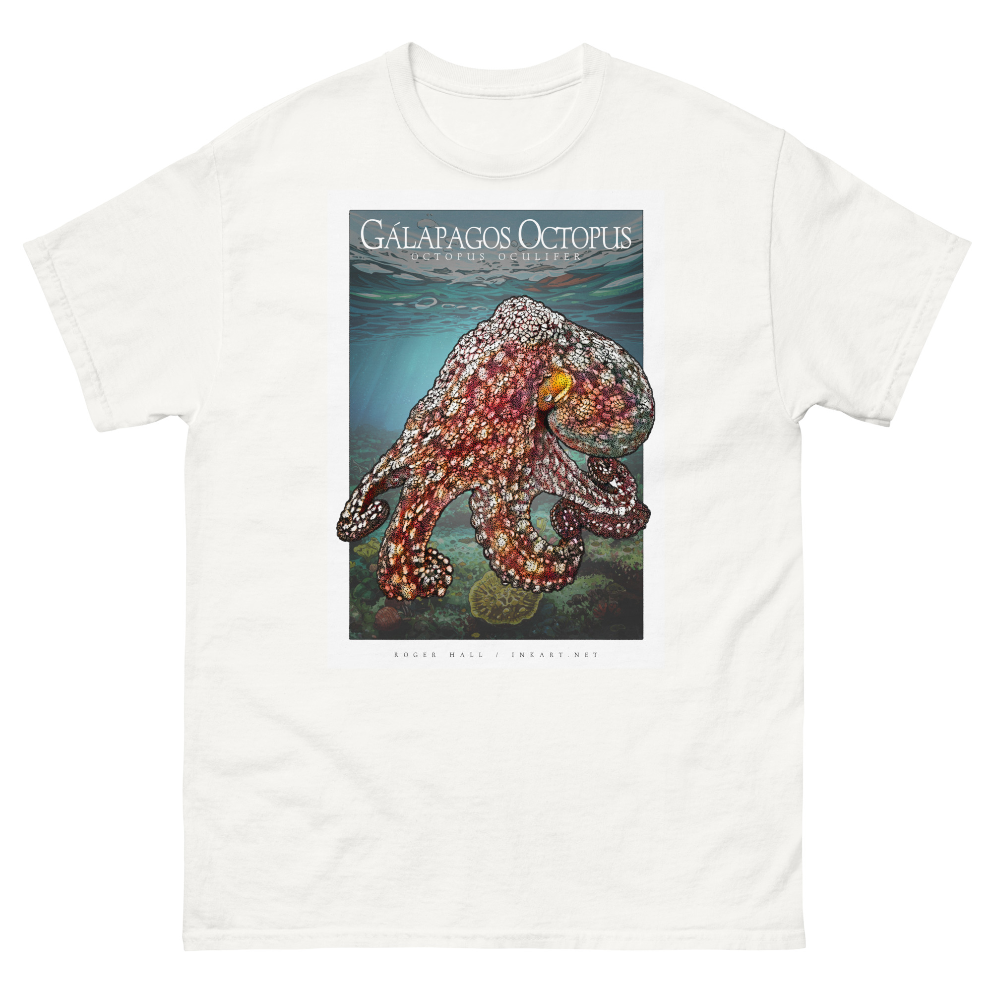 Galapagos Octopus unisex-classic-tee-white Fine art illustration of a Galapagos Octopus printed on a high-quality 100% unisex cotton t-shirt.