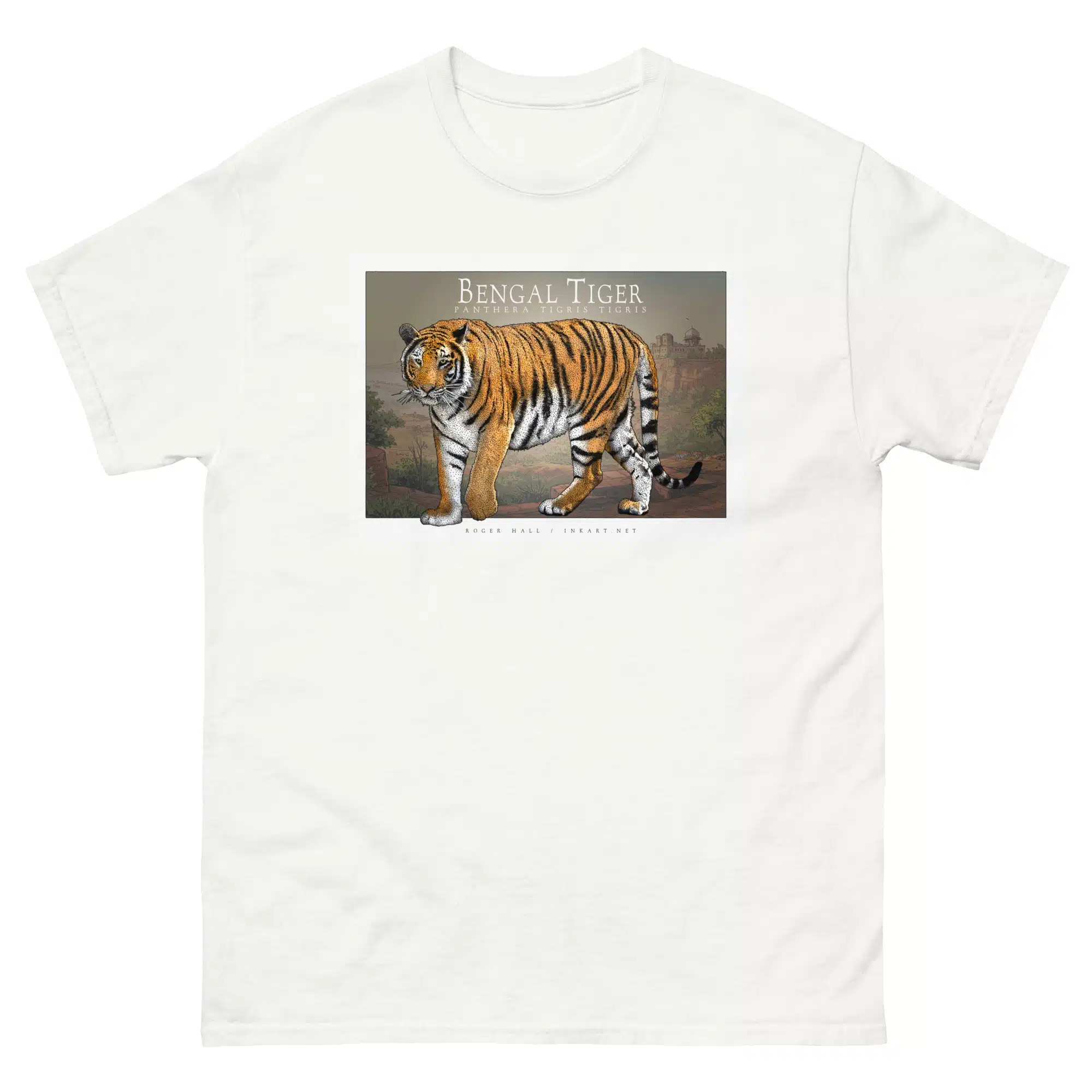 Bengal Tiger unisex-classic-tee-white Fine art illustration of a Bengal Tiger printed on a high-quality 100% unisex cotton t-shirt.