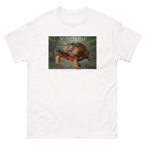 Fine art illustration of a Wood Turtle printed on a high-quality 100% unisex cotton t-shirt.