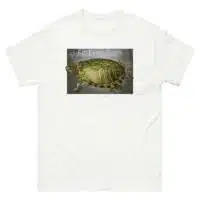 Fine art illustration of a Red-Eared Slider printed on a high-quality 100% unisex cotton t-shirt.