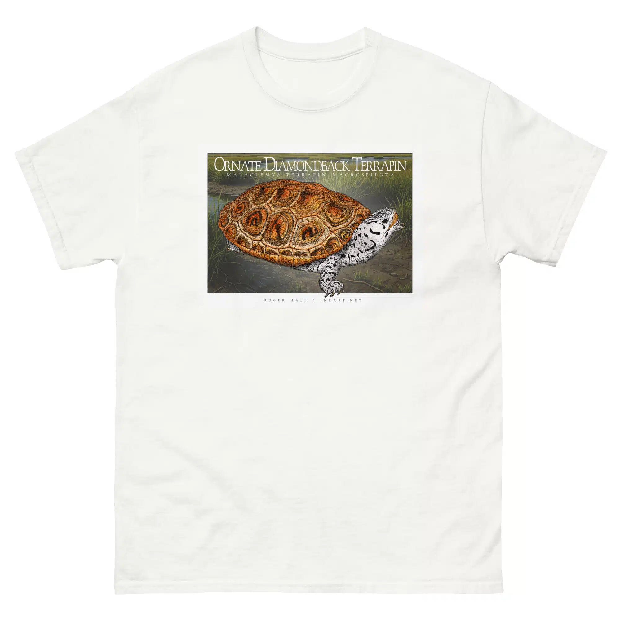 Ornate Diamondback Terrapin unisex-classic-tee-white Fine art illustration of an Ornate Diamondback Terrapin printed on a high-quality 100% unisex cotton t-shirt.