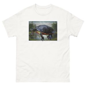 Fine art illustration of a Northern Red-Bellied Cooter printed on a high-quality 100% unisex cotton t-shirt.