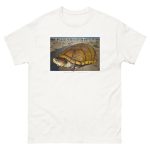 Fine art illustration of an Arizona Mud Turtle printed on a high-quality 100% unisex cotton t-shirt.