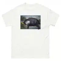 Fine art illustration of a Blanding's Turtle printed on a high-quality 100% unisex cotton t-shirt.