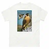 Fine art illustration of a Peregrine Falcon printed on a high-quality 100% unisex cotton t-shirt.