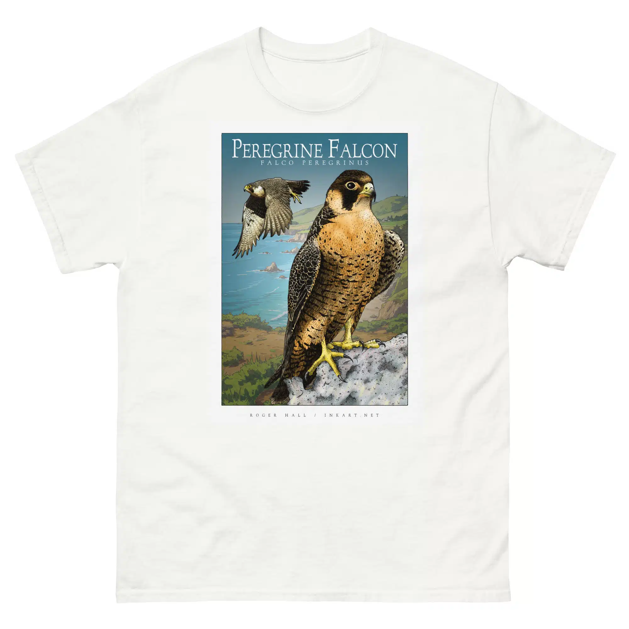 Peregrine Falcon unisex-classic-tee-white Fine art illustration of a Peregrine Falcon printed on a high-quality 100% unisex cotton t-shirt.