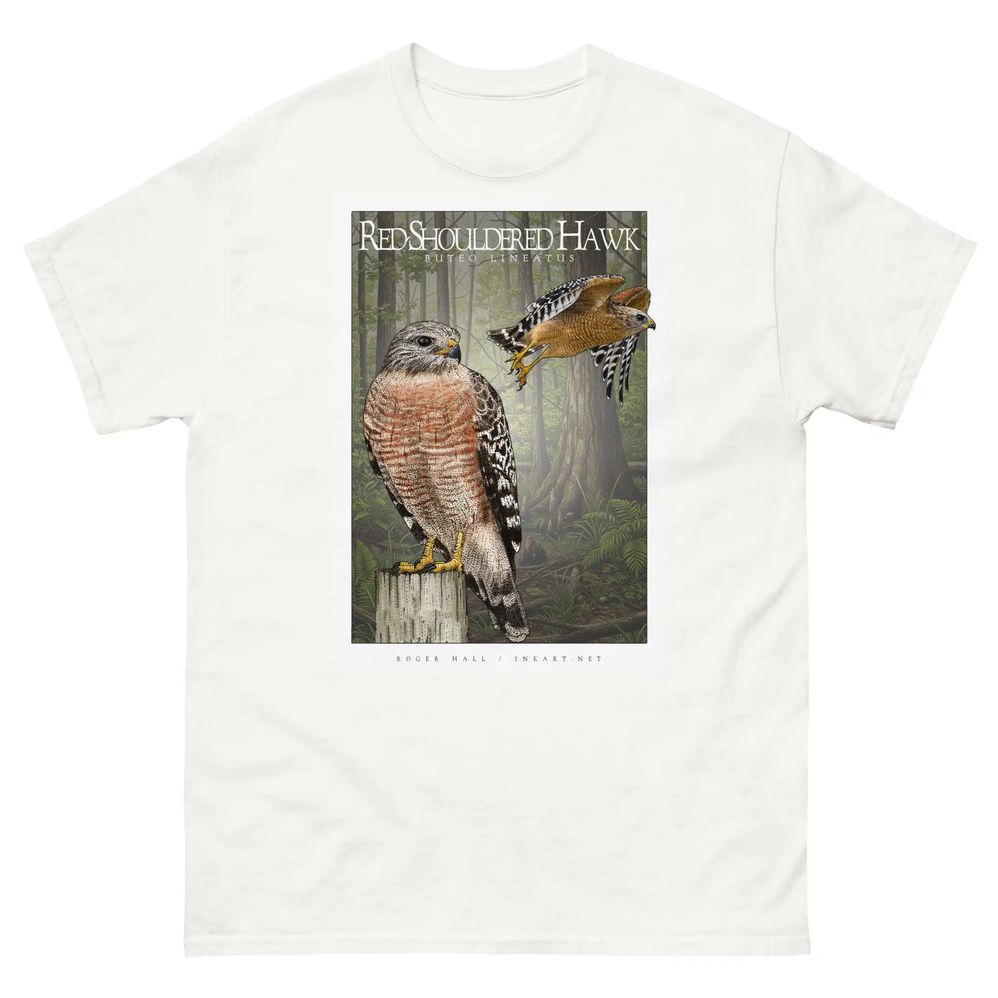 Red-Shouldered Hawk unisex-classic-tee-white Fine art illustration of a Red-Shouldered Hawk printed on a high-quality 100% unisex cotton t-shirt.