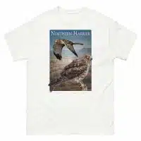Fine art illustration of a Northern Harrier printed on a high-quality 100% unisex cotton t-shirt.