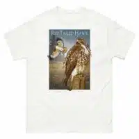 Fine art illustration of a Red-Tailed Hawk printed on a high-quality 100% unisex cotton t-shirt.