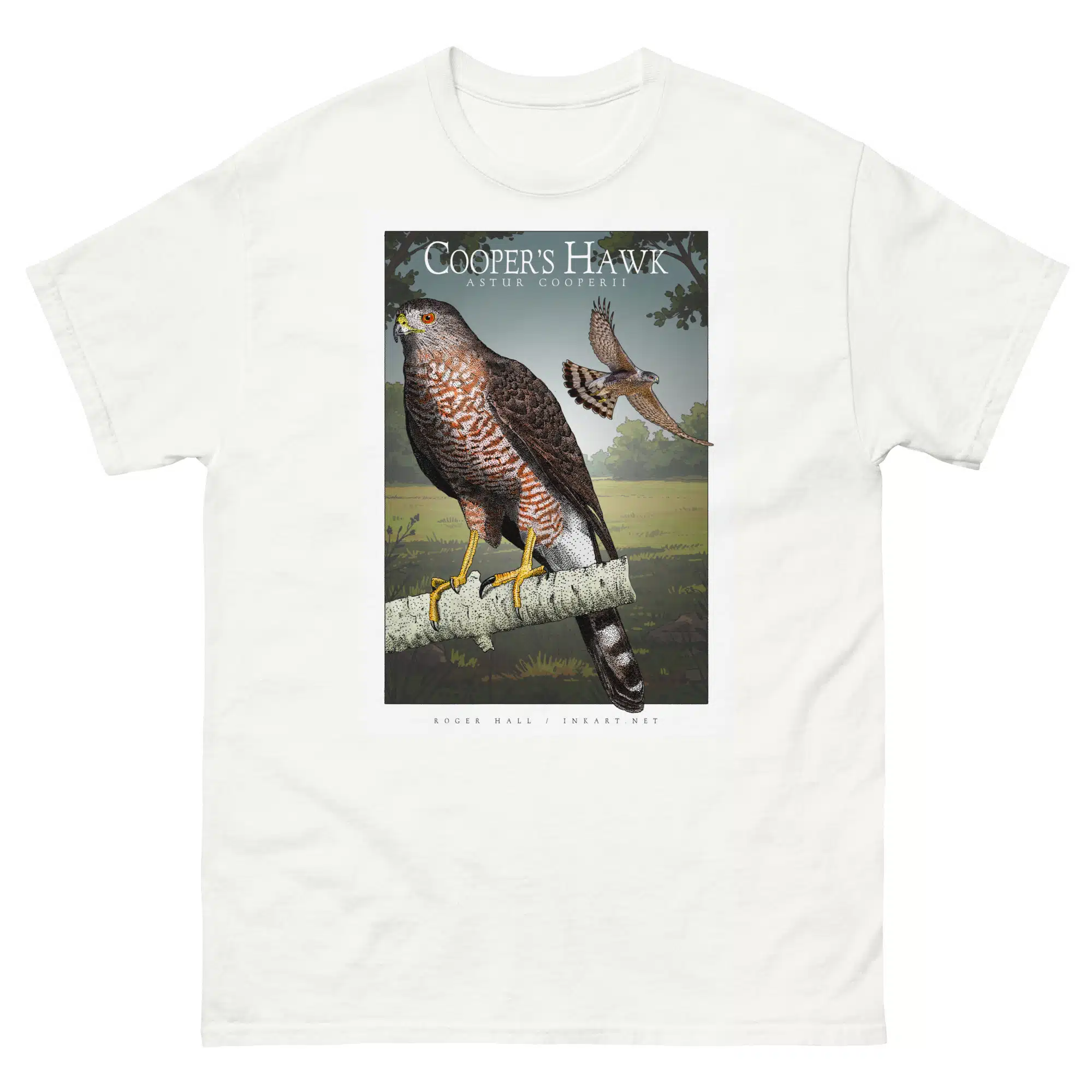 Cooper's Hawk unisex-classic-tee-white Fine art illustration of a Cooper's Hawk printed on a high-quality 100% unisex cotton t-shirt.