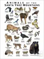 Animals of the Santa Ynez Mountains poster print
