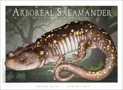 Arboreal Salamander - Unisex classic tee - Image 2