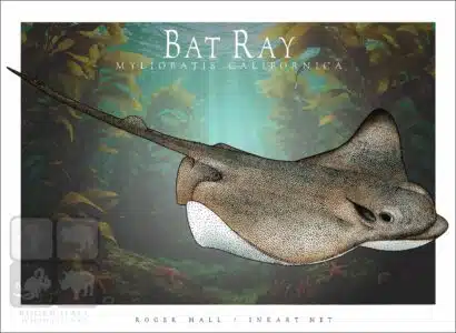 Bat Ray - Unisex classic tee - Image 2