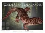 Coastal Giant Salamander - Unisex classic tee - Image 2