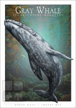 Gray Whale - Unisex classic tee - Image 2