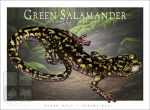 Green Salamander - Unisex classic tee - Image 2