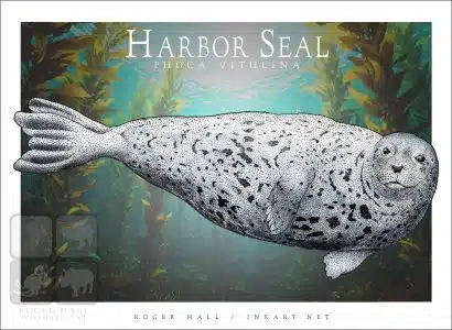 Harbor Seal - Unisex classic tee - Image 2