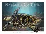 Hawksbill Sea Turtle - Unisex classic tee - Image 2