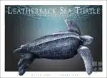 Leatherback Sea Turtle - Unisex classic tee - Image 2