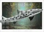 Leopard Shark - Unisex classic tee - Image 2