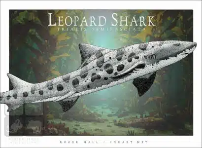 Leopard Shark - Unisex classic tee - Image 2