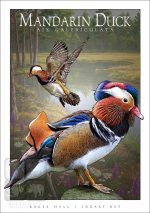 Mandarin Duck - Unisex classic tee - Image 2