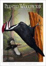 Pileated Woodpecker - Unisex classic tee - Image 2