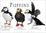 Poster design featuring all living species of puffin