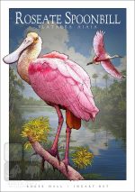Roseate Spoonbill - Unisex classic tee - Image 2