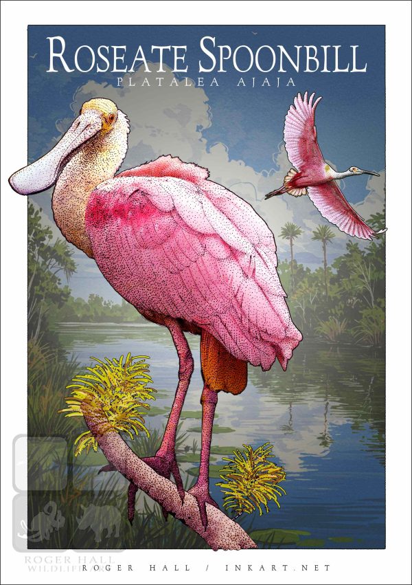 Roseate Spoonbill - Unisex classic tee - Image 2