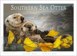 Southern Sea Otter - Unisex classic tee - Image 2