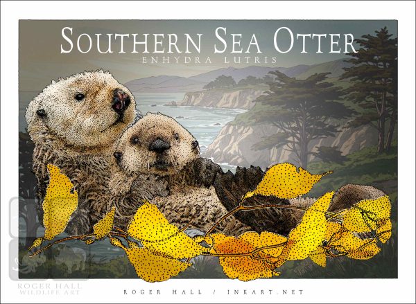 Southern Sea Otter - Unisex classic tee - Image 2