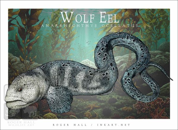 Wolf Eel - Unisex classic tee - Image 2