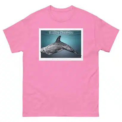 Risso's Dolphin - Unisex classic tee - Image 8