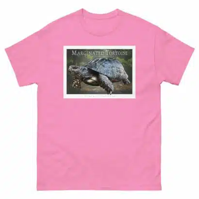 Marginated Tortoise - Unisex classic tee - Image 8
