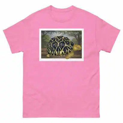 Indian Star Tortoise - Unisex classic tee - Image 8