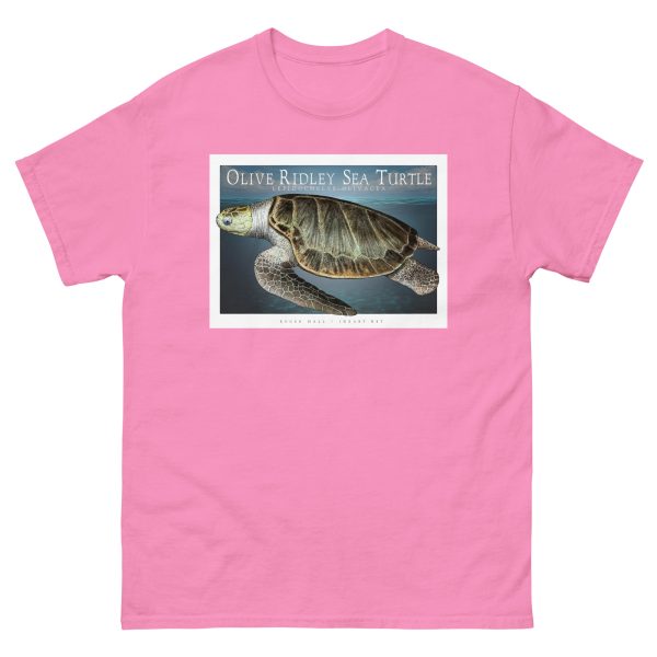 Olive Ridley Sea Turtle - Unisex classic tee - Image 8