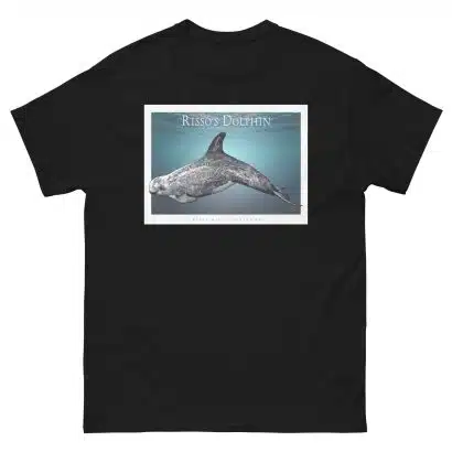 Risso's Dolphin - Unisex classic tee - Image 3