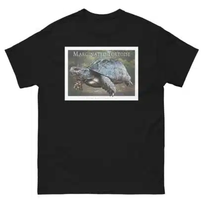 Marginated Tortoise - Unisex classic tee - Image 3