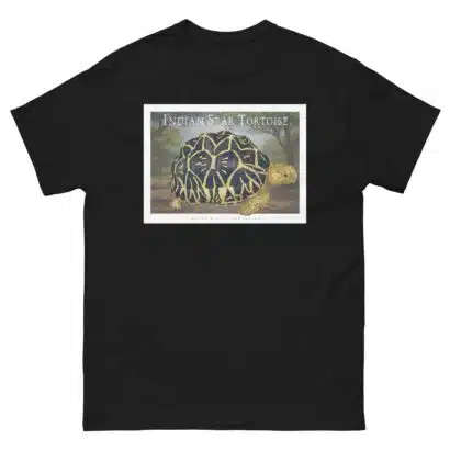 Indian Star Tortoise - Unisex classic tee - Image 3