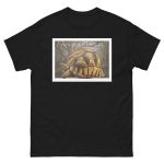 Angonoka Tortoise - Unisex classic tee - Image 3