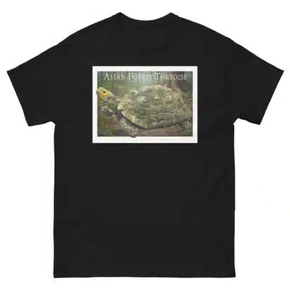 Asian Forest Tortoise - Unisex classic tee - Image 3