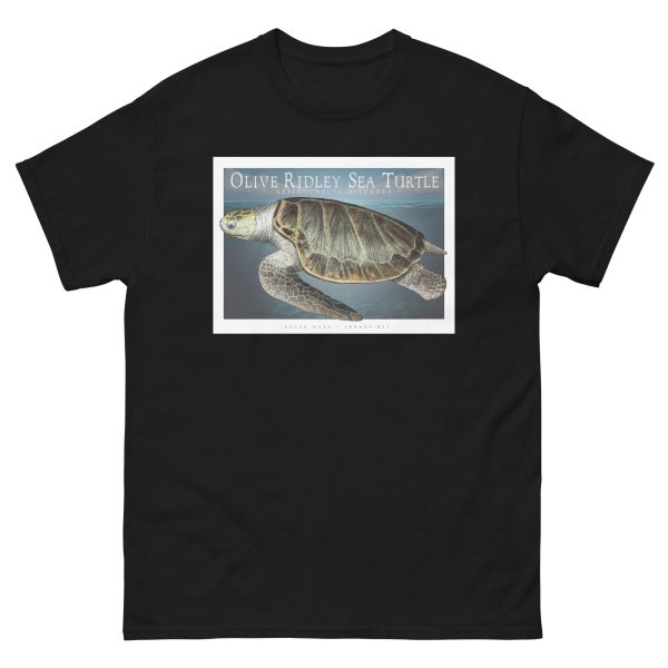 Olive Ridley Sea Turtle - Unisex classic tee - Image 3