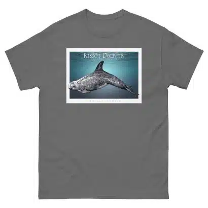 Risso's Dolphin - Unisex classic tee - Image 5