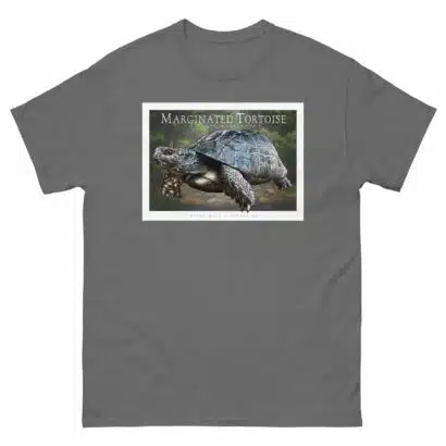 Marginated Tortoise - Unisex classic tee - Image 5