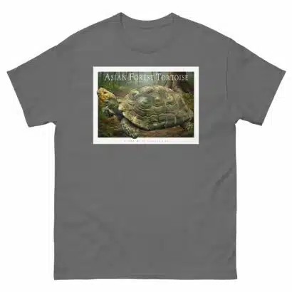 Asian Forest Tortoise - Unisex classic tee - Image 5