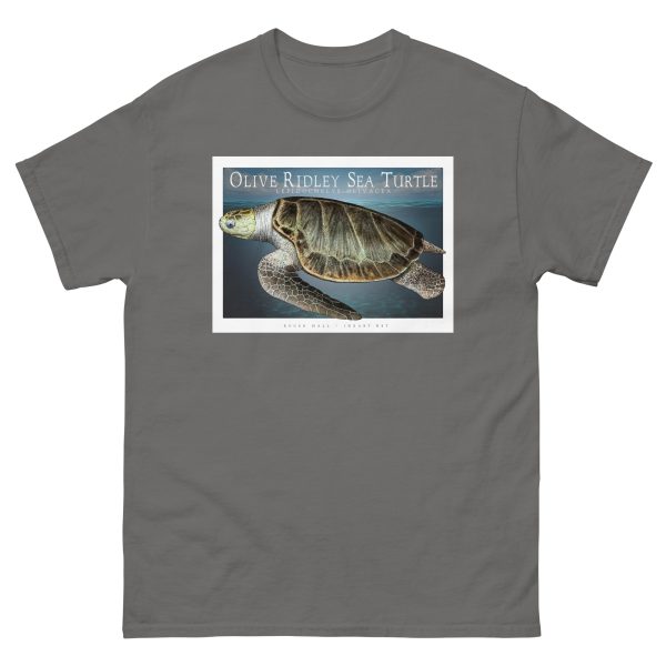 Olive Ridley Sea Turtle - Unisex classic tee - Image 5