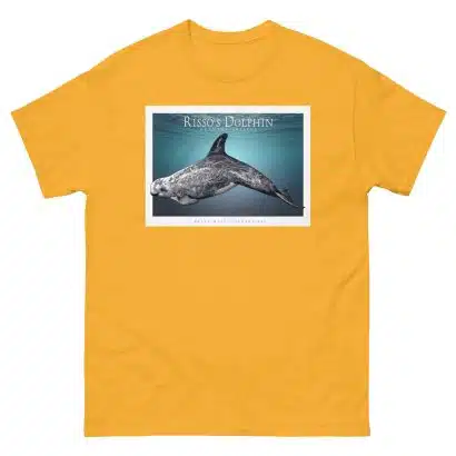 Risso's Dolphin - Unisex classic tee - Image 9