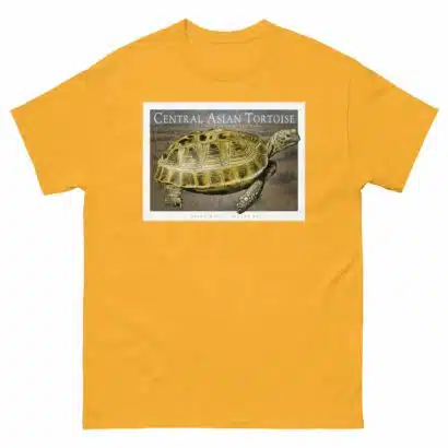Central Asian Tortoise - Unisex classic tee - Image 9