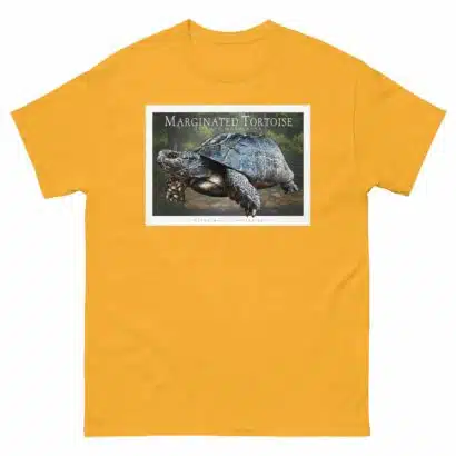 Marginated Tortoise - Unisex classic tee - Image 9